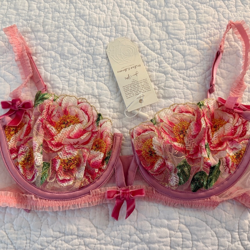 🔥HOST PICK🔥 NWT For Love and Lemons 🍋 Needle Point Underwire Bra - Picture 5 of 9